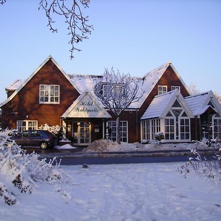 Hotel Waldquelle Aurich Extérieur photo